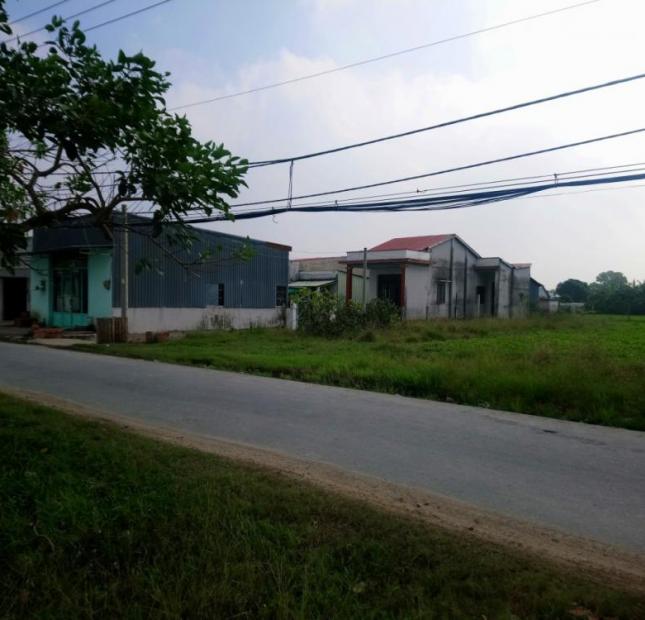DT 1720m2 đất thổ cư, mặt tiền đường Tân Liễu, Hưng Long, huyện Bình Chánh