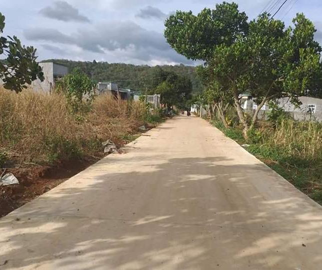 Bán đất nền dự án tại đường Nguyễn Phúc Chu, Buôn Ma Thuột, Đắk Lắk. DT 110m2, giá 450 triệu