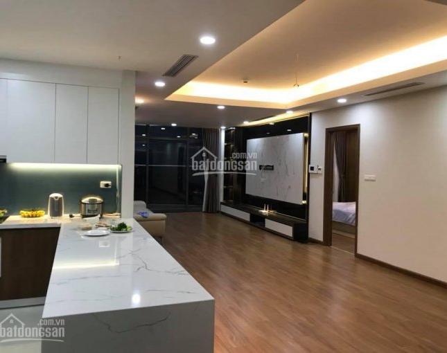 Cho thuê chung cư cao cấp Dophin Plaza Trần Bình, 2- 3PN, full nội thất cao cấp, view đẹp