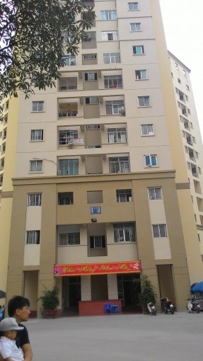 Cho thuê căn hộ tòa nhà B11D Nam Trung Yên, 70m2, 2PN, full nội thất, giá 9 tr/th