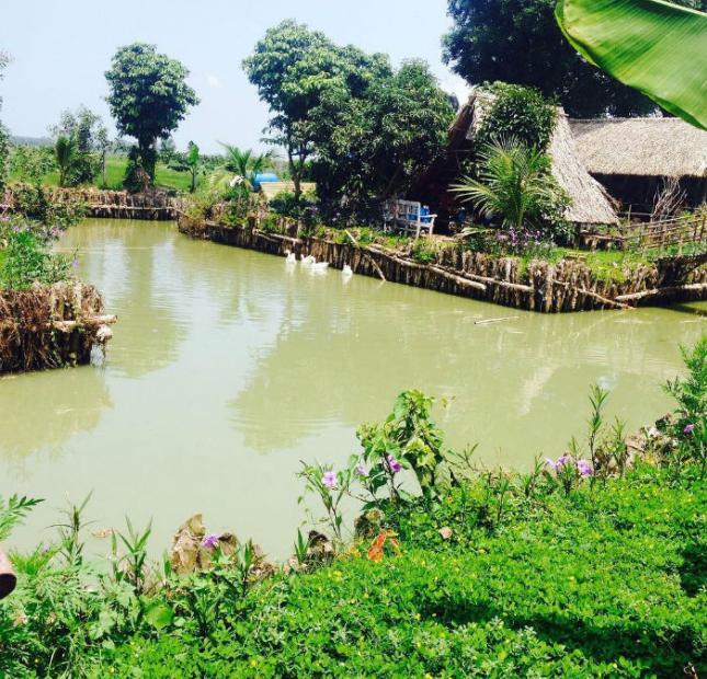 Bán đất thổ vườn gần sông giá rẻ Nhơn Trạch