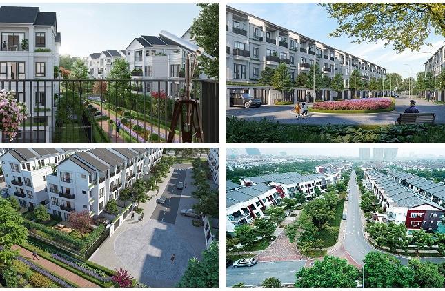 Mở bán dự án liền kề Dahlia Homes, Gamuda Gardens, Hoàng Mai