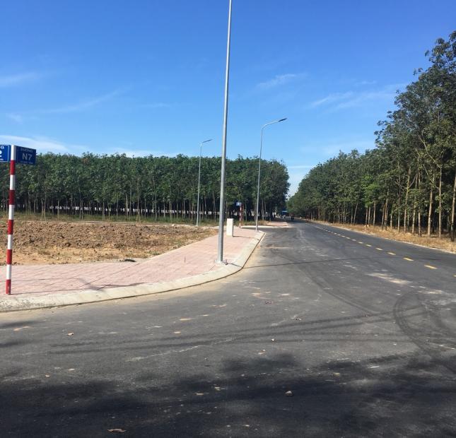 Thanh lý gấp 10 lô đất đường DDT747 xã Hội Nghĩa Nam Tân Uyên gần cây xăng Kim Hằng