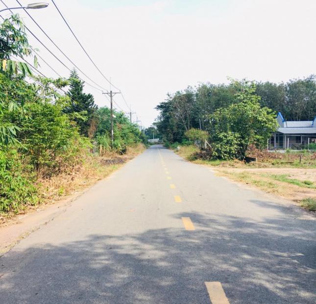 Đất đường Phạm Văn Cội gần khu nông nghiệp Công Nghệ Cao – Củ Chi SHR
