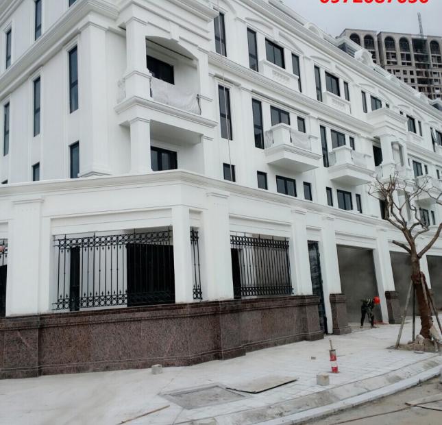 Bán nhà biệt thự, liền kề dự án Roman Plaza, quận Nam Từ Liêm, Hà Nội, LH: 0972087650