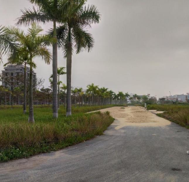 Cần bán đất biệt thự An Phú 3, tỉnh Hải Dương.