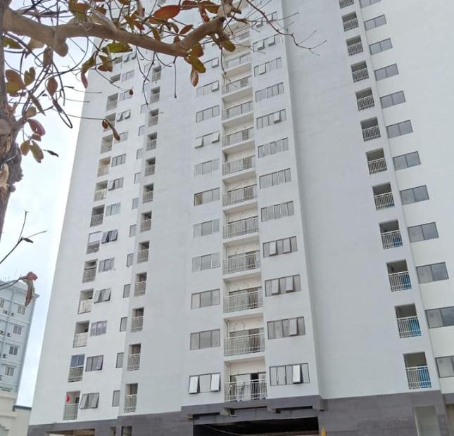Bán nhanh căn hộ chung cư (căn góc) tọa lạc ngay tại trung tâm TP Vinh