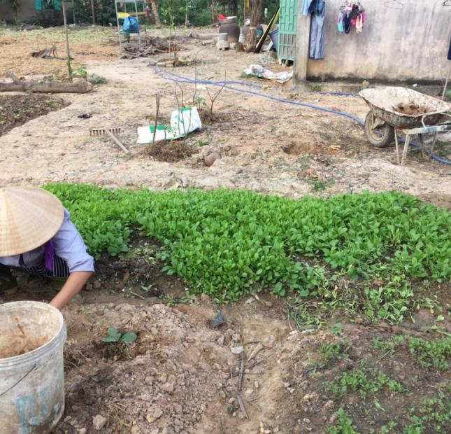 Cần cho thuê lô đất rộng đẹp ở Thuận An, Bình Dương