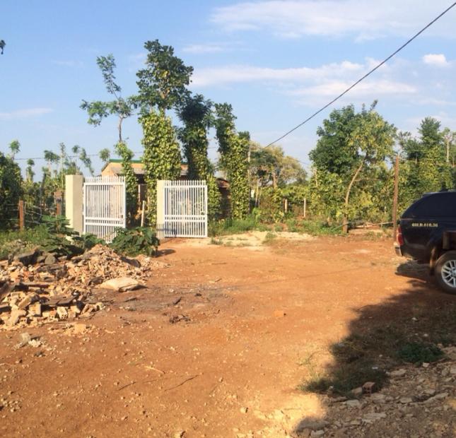 Bán trang trại khu vực xã Ea Kao, TP Buôn Ma Thuột