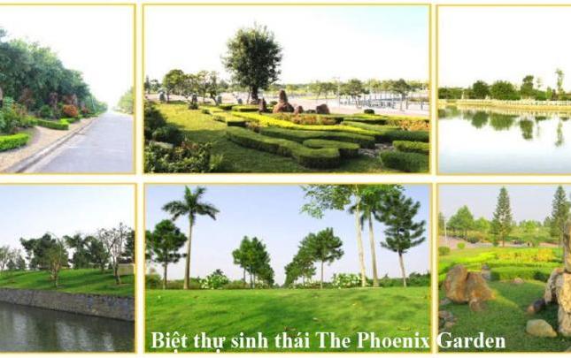 The Phoenix Garden tầm nhìn biệt thự triệu đô với giá ưu đãi cho 50 khách hàng đầu tiên