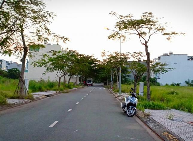 Có lô sổ đỏ đường trục chính 24m cần bán 45tr/m2, KDC Ninh Giang quận 2