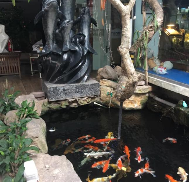 BIỆT THỰ vườn ao cá sinh thái 380m2 Vũ Đức Thận, Việt Hưng, Vinhomes, Long Biên XÍU 30 tỷ