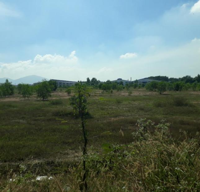 Bán đất Phước Bình 850 triệu/170m2 có 80m2 OTN