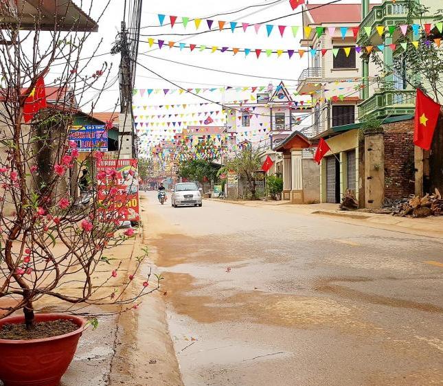 Bán đất mặt đường nhựa Thôn Trung Hòa, cạnh UBND xã Mai Trung 115m2 giá 1 tỷ