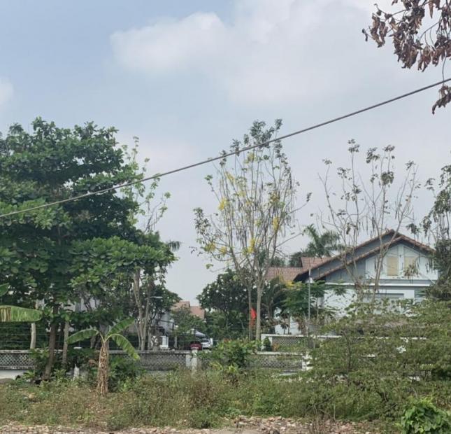 Bán đất ngay khu BT The Pegasus Residence, Nguyễn Văn Tỏ, P. Long Bình Tân, Biên Hòa, Đồng Nai