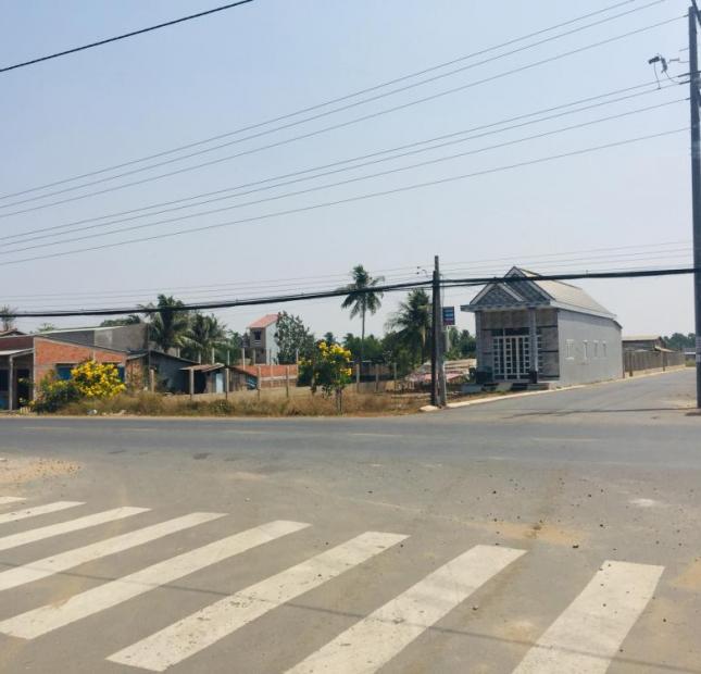 Chính chủ bán gấp đất 100m2 mặt tiền đường Đoàn Nguyễn Tuấn, Xã Bình Chánh, huyện Bình Chánh