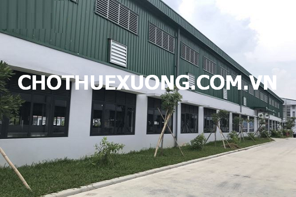 Cho thuê nhà xưởng đẹp tại Quán Gỏi, Bình Giang, Hải Dương, DTKV 5015m2