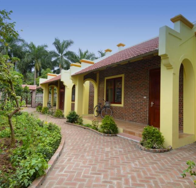 Cho thuê kinh doanh hoặc sang nhượng Homestay Tam Cốc, Ninh Bình