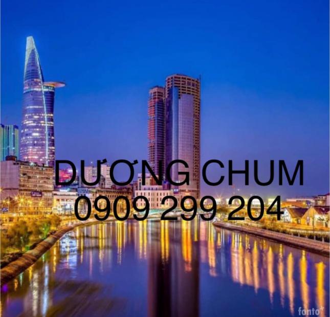 Bán nhà HXH Đinh Tiên Hoàng, P. Đa Kao,Q.1 DT 3.5x15m,giá 12 tỷ