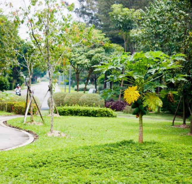 Căn hộ sinh thái Eco Xuân, Thuận An Bình Dương. Thích hợp đầu tư cho thuê. LH; 0931778087