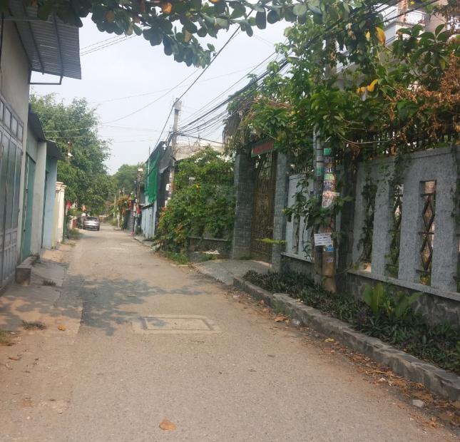 Đất 8x23m sổ hồng riêng, KP2 Phương Nam, Trảng Dài, Biên Hòa