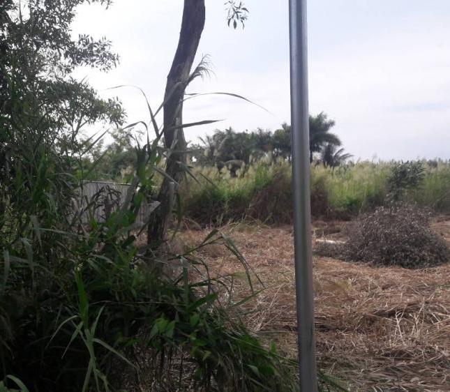 Đất thổ cư HXH 6m dự phóng ra QL 50 đường Lê Văn Lương, Nhơn Đức, Nhà Bè 