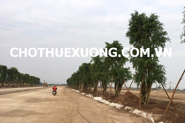 Chuyển nhượng lô đất trong Khu công nghiệp Lương Sơn Hòa Bình DT 4010m2.