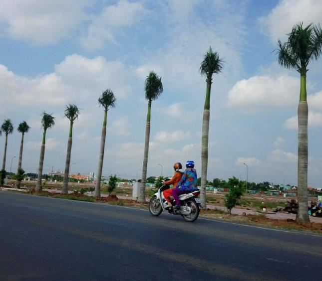 Đất nền trung tâm thị trấn Thủ Thừa, đối diện khu công nghiệp, giá chỉ 800 triệu/nền/100m2