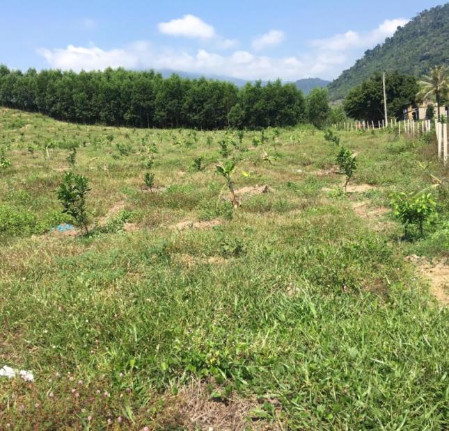 Cần bán nhanh 7ha đất vườn đẹp (có 500m2 thổ cư) ở xã Khánh Trung, huyện Khánh Vĩnh.
