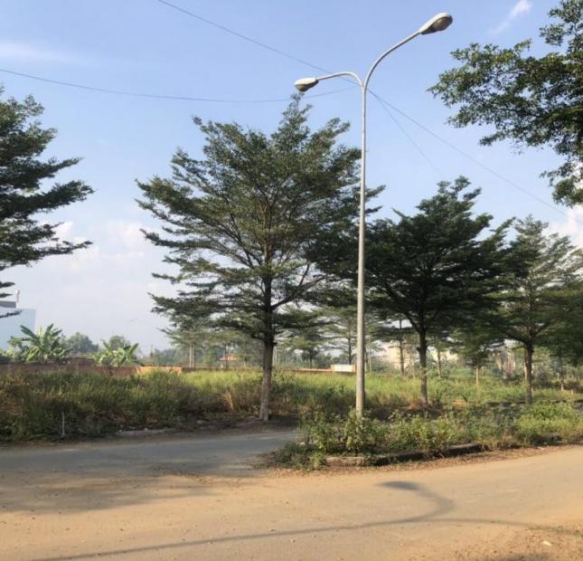 Chủ đất cần tiền bán đất nền dự án Sở Văn Hóa TT Phú Hữu quận 9