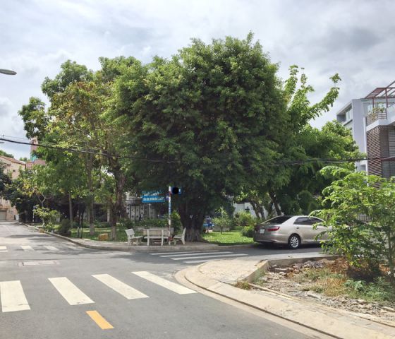 Bán nhà phố khu công viên Tân Quy Đông P. Tân Phong Q7 giá 12.5 tỷ  