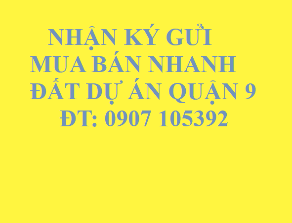 Đất nền diện tích nhỏ giá tốt nằm trên đường Liên Phường