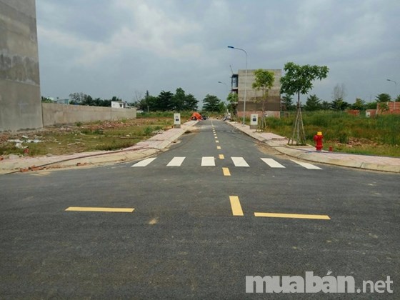Bán gấp lô đất 1 số lô đất Đường Gò Cát, phường Phú Hữu, Quận 9, diện tích đa dạng, sổ đỏ riêng