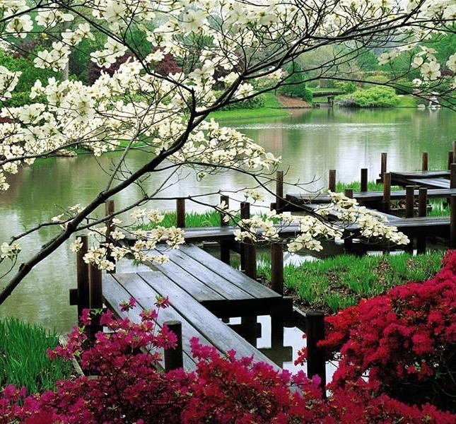 Kai Village And Resort - Biệt thự nghỉ dưỡng mang đậm chất phong cách Nhật Bản - LH: 0981.616.838