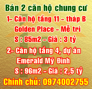 Bán căn hộ chung cư tầng 11, tháp B - Golden Place Mễ Trì, Quận Nam Từ Liêm, Hà Nội