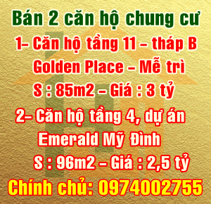 Bán căn hộ chung cư tầng 4 - dự án Emerald Mỹ Đình, Quận Nam Từ Liêm, Hà Nội