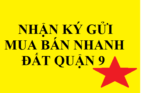 Cần bán đất nền dự án Sở Văn Hóa Thông Tin quận 9- dự án đã ra sổ cá nhân.