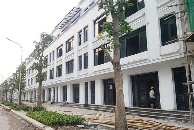 Cho thuê mặt bằng kinh doanh Hạ Long, 6 tầng, mặt tiền 12m, 990m2