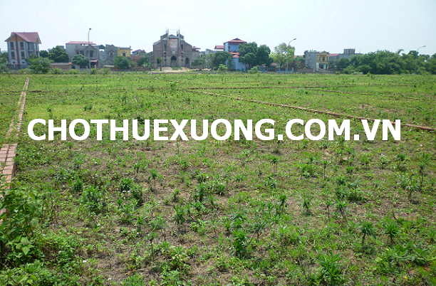 Cần bán đất Cụm công nghiệp Kim Thành Hải Dương DT 9350m2  giá tốt 