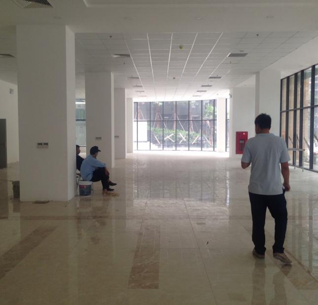 Cho thuê văn phòng tòa nhà Sao Mai Building Lê Văn Lương 130 m2 đến 400 m2 giá từ 320 nghìn/m2