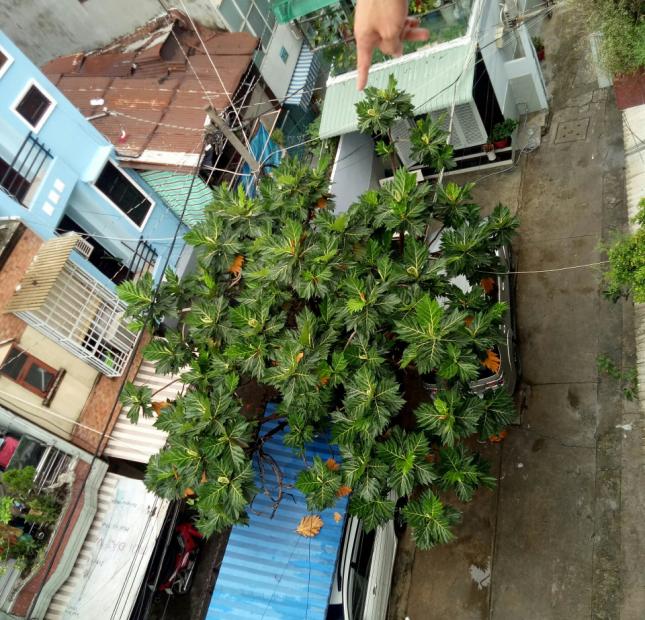 Bán nhà hẻm nhựa 12m đường An Bình, quận 5, giá chỉ 5.9 tỷ. 