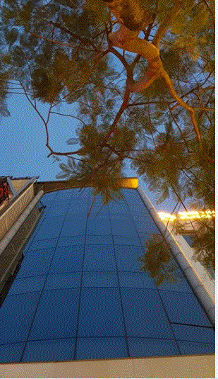 Mặt phố Trần Thái Tông, Cầu Giấy, DT 110m2, 8 tầng thang máy, chỉ 40 tỷ!