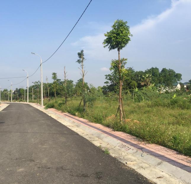 Bán 108m đất sổ đỏ xóm Miễu-Tiến Xuân, ĐHQG Hà Nội,Chỉ 980 triệu