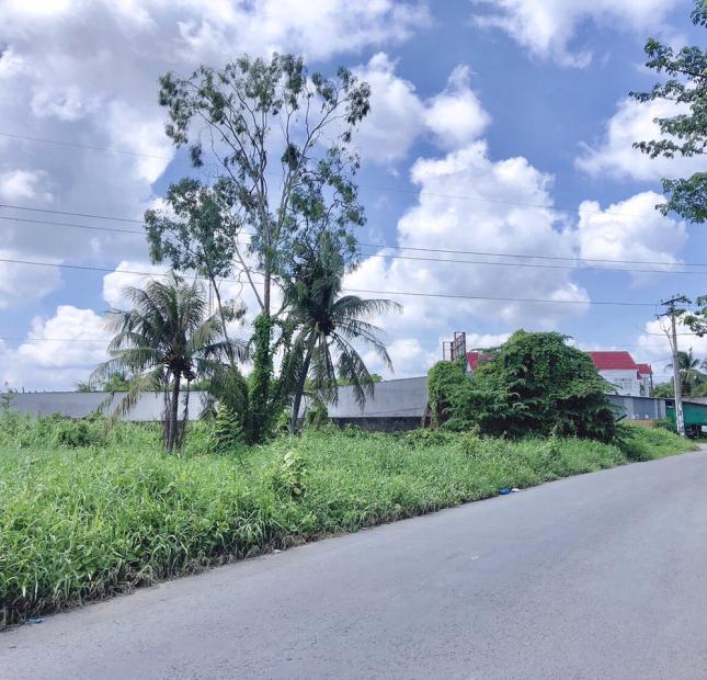 Bán đất mặt tiền Hoàng Quốc Việt diện tích 2490m2 giá 35 tỷ vị trí thích hợp xây resort