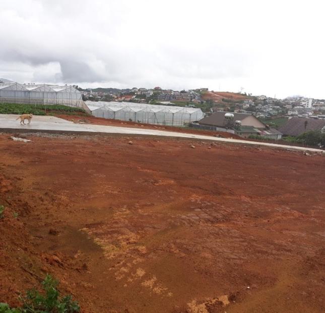 Dự án đất nền tại thành phố Đà Lạt, giá cực ưu đãi, cực sốc.