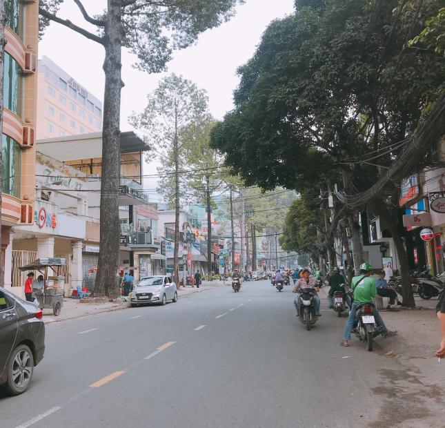 Lung linh, nhà HXH 55 Trần Đình Xu, 4x16m, 11 tỷ 950 triệu