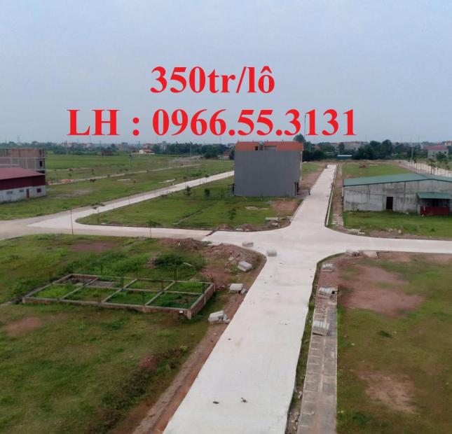Bán đất tại làng nghề gỗ Mai Đình Hiệp Hòa Bắc Giang chỉ từ 350tr