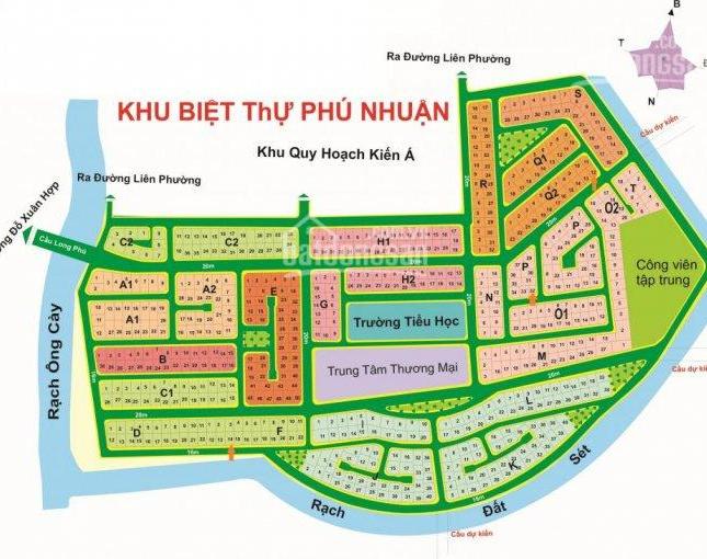 Bán đất nền dự án diện tích 338m2 tại Phường Phú Hữu, Quận 9, Hồ Chí Minh