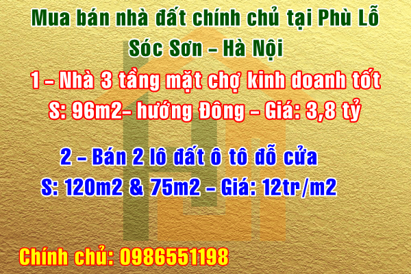 Mua bán nhà đất chính chủ Phù Lỗ, Sóc Sơn, Hà Nội