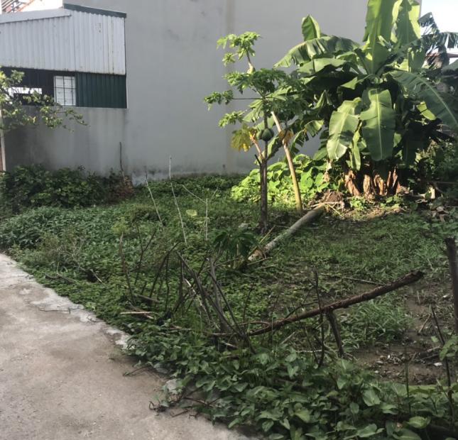 Cần bán lô đất giá 500tr tại Quỳnh Cư, Hùng Vương, Hồng Bàng 